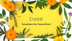  Presentation with edible flower - Slides consisting of healing-herb-and-edible-flower background and a yellow colored foreground