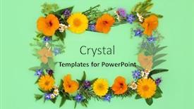  Presentation with flowers border - Presentation theme with healing-herbs-edible-flowers background and a  colored foreground