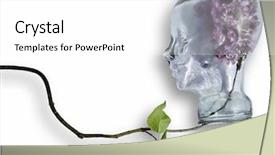  Presentation with glass human head brain - Presentation theme having health brain - glass human head with flowers background and a white colored foreground