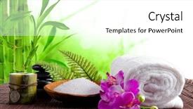  Presentation with treatment - Audience pleasing presentation consisting of health care herbal - spa treatment with bamboo background backdrop and a white colored foreground
