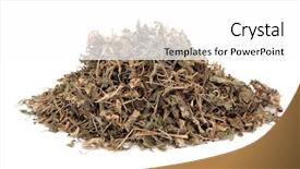  Presentation with gentian - Colorful presentation theme enhanced with health care tcm - gentian herb used in herbal backdrop and a white colored foreground