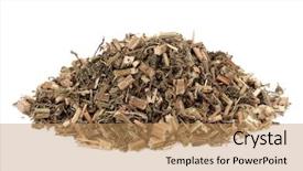  Presentation with chinese medicine - PPT theme enhanced with health care tcm - motherwort herb used in chinese background and a coral colored foreground