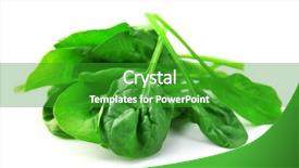 Presentation with spinach - Presentation theme featuring health food - fresh spinach leaves isolated background and a shamrock green colored foreground