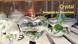  Presentation with green glass - Beautiful PPT layouts featuring health longevity - green asiatic pennywort or christina backdrop and a tawny brown colored foreground