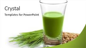  Presentation with wheat - Audience pleasing PPT layouts consisting of health longevity - shot of wheat grass drink backdrop and a white colored foreground
