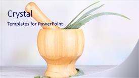  Presentation with green leaves - Amazing presentation design having health nature - fresh green aloe leaves backdrop and a sky blue colored foreground