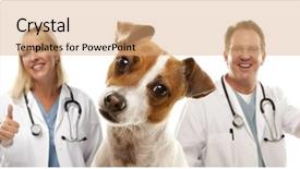  Presentation with russell - Slide deck with health outcomes - adorable jack russell terrier background and a coral colored foreground