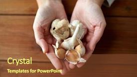  Presentation with healing hands - Beautiful PPT theme featuring health people food traditional medicine backdrop and a tawny brown colored foreground