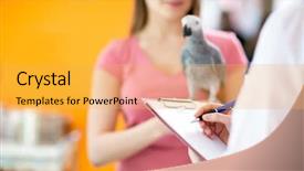 Presentation with parrot - Presentation theme consisting of health problems - diagnosing and transcribing therapy background and a yellow colored foreground