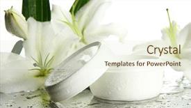  Presentation with lily - Theme having health products - cosmetic cream and beautiful lily background and a cream colored foreground
