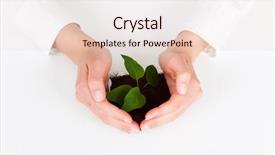  Presentation with business growing - Cool new PPT theme with health safety - growing business backdrop and a lemonade colored foreground