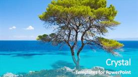  Presentation with health tourism - Beautiful PPT theme featuring health tourism - pine forest tree backdrop and a teal colored foreground