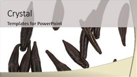  Presentation with medical - PPT theme enhanced with health worm biology - medical leech background and a  colored foreground