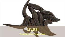  Presentation with medical perspectives - Audience pleasing presentation consisting of health worm biology - medical leech backdrop and a violet colored foreground