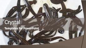  Presentation with health worm biology - Colorful presentation theme enhanced with health worm biology - medical leech backdrop and a  colored foreground