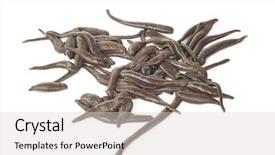  Presentation with medical - Slides with health worm biology - medical leeches background and a  colored foreground