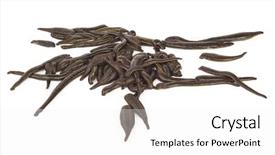  Presentation with medical marijuana - Theme featuring health worm biology - medical leeches background and a  colored foreground