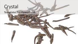  Presentation with medical confidentiality - Cool new PPT theme with health worm biology - medical leeches backdrop and a  colored foreground
