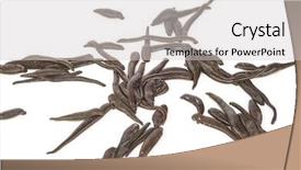  Presentation with davinci in medical - Theme with health worm biology - medical leeches background and a light gray colored foreground