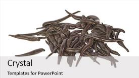  Presentation with medical biology - Audience pleasing slide deck consisting of health worm biology - medical leeches backdrop and a light gray colored foreground