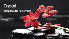  Presentation with orchid - Theme featuring health zen - red branch orchid and black background and a dark gray colored foreground