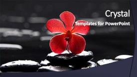  Presentation with fern - Slide deck with health zen - reflection of red orchid background and a dark gray colored foreground