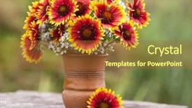  Presentation with chamomile - Colorful slide deck enhanced with healthcare cartoon - bouquet of flowers chamomile backdrop and a red colored foreground