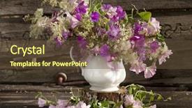  Presentation with retro 1920s english style gangster - Amazing presentation theme having healthcare cartoon - bouquet of flowers in retro backdrop and a  colored foreground