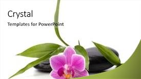  Presentation with spa concept - Slide set featuring healthcare concept orchid and stones background and a  colored foreground