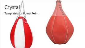  Presentation with bag - Colorful PPT theme enhanced with tender mallow malvaceae alcea rosea common hollyhock flowers in a summer garden backdrop and a dark gray colored foreground