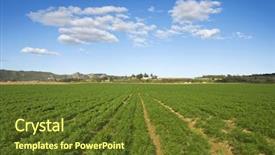  Presentation with crop - Slides enhanced with healthy carrot crop background and a tawny brown colored foreground