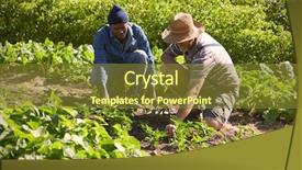  Presentation with working together - Slide set with healthy communities - two men working together background and a tawny brown colored foreground