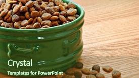  Presentation with dog food - PPT layouts consisting of healthy dog food in bowl background and a tawny brown colored foreground
