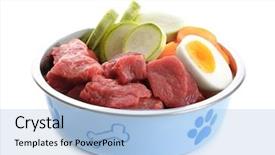  Presentation with white healthy food - Slide set enhanced with healthy dog food isolated on white background and a light blue colored foreground