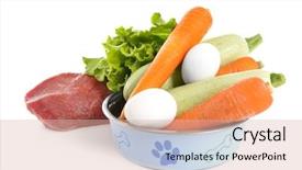  Presentation with dog food - Slide deck having healthy dog food isolated background and a lemonade colored foreground