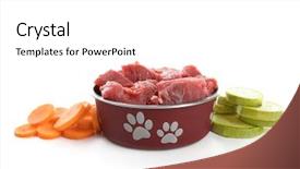 Presentation with white healthy food - Presentation design enhanced with healthy dog food isolated background and a white colored foreground