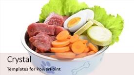  Presentation with white healthy food - Beautiful slides featuring healthy dog food isolated backdrop and a coral colored foreground