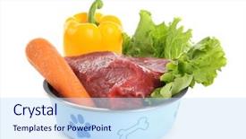  Presentation with healthy food - Cool new presentation with healthy dog food isolated backdrop and a sky blue colored foreground