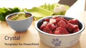  Presentation with healthy indian food - Colorful slide set enhanced with healthy dog food on wooden backdrop and a coral colored foreground