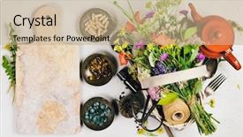  Presentation with herbal medicine - Audience pleasing slides consisting of healthy eating and herbal medicine backdrop and a coral colored foreground