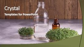  Presentation with rustic spring - PPT layouts enhanced with microgreens healthy eating concept science background and a tawny brown colored foreground