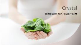  Presentation with healthy eating - Presentation design enhanced with healthy-eating-dieting-vegetarian-food background and a soft green colored foreground