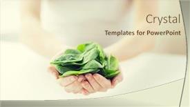  Presentation with vegetarian - Presentation theme with healthy-eating-dieting-vegetarian-food background and a soft green colored foreground