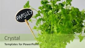  Presentation with name plate - Theme with healthy-eating-gardening-and-organic background and a yellow colored foreground