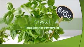  Presentation with name plate - Colorful PPT layouts enhanced with healthy-eating-gardening-and-organic backdrop and a tawny brown colored foreground