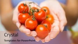  Presentation with healthy eating - Slide deck featuring healthy eating vegetarian food diet vegetables and people concept -close up of woman holding cherry tomatoes in hands background and a coral colored foreground