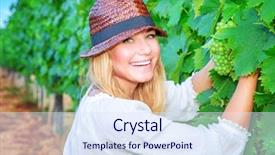  Presentation with organic farming - Slides having healthy food enjoying great harvest background and a sky blue colored foreground