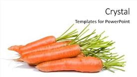  Presentation with pure white - Presentation with healthy fresh carrots from the field on a pure white background with space for text background and a white colored foreground