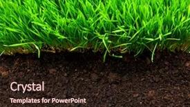 Presentation with soil - Amazing PPT theme having healthy grass and soil pattern backdrop and a wine colored foreground
