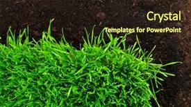  Presentation with soil - Audience pleasing slide deck consisting of healthy-grass-and-soil-pattern backdrop and a wine colored foreground